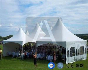 Carpa Pagoda Carpa para fiestas