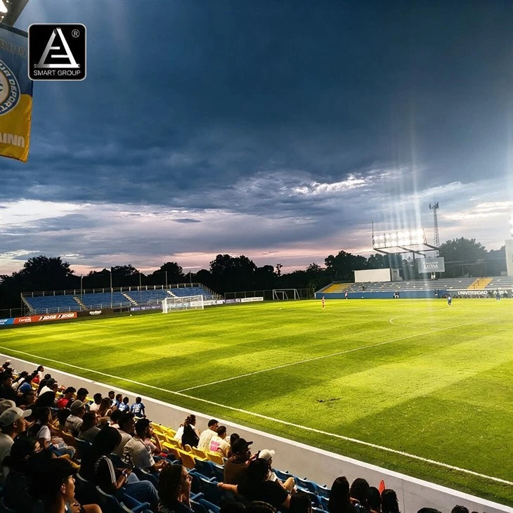 Scaffolding Steel Structure Grandstand for Football Stadiums price